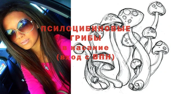ГАЛЛЮЦИНОГЕННЫЕ ГРИБЫ Бугульма