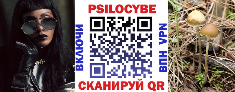 kraken маркетплейс  Юхнов  Псилоцибиновые грибы прущие грибы 
